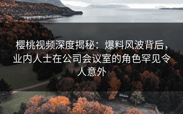 樱桃视频深度揭秘：爆料风波背后，业内人士在公司会议室的角色罕见令人意外