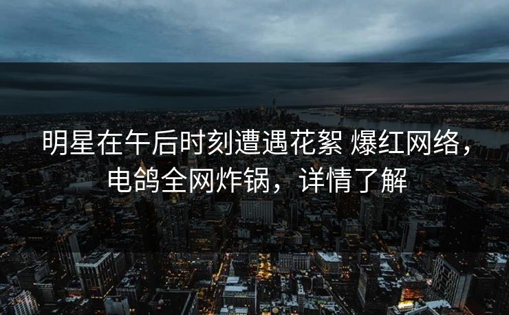 明星在午后时刻遭遇花絮 爆红网络，电鸽全网炸锅，详情了解