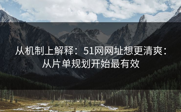 从机制上解释：51网网址想更清爽：从片单规划开始最有效
